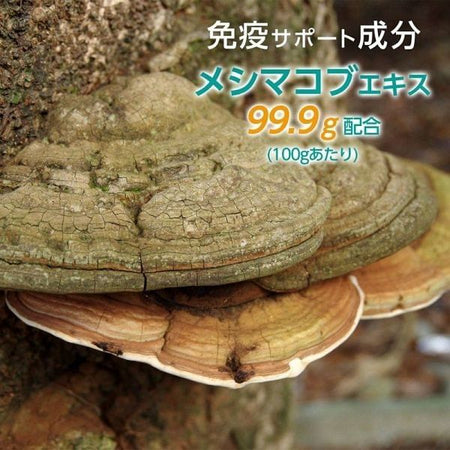 FINE JAPAN - Meshima Mushroom Extract Powder, 180g, 500 g, 4976652003088