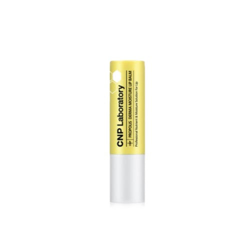 CNP, PROPOLIS DERMA MOISTURE LIP BALM 4G