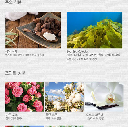 The Saem - Perfumed Hand Shea Butter (Soft Powder) 30ml, 30ml, 36 g, 8806164131985