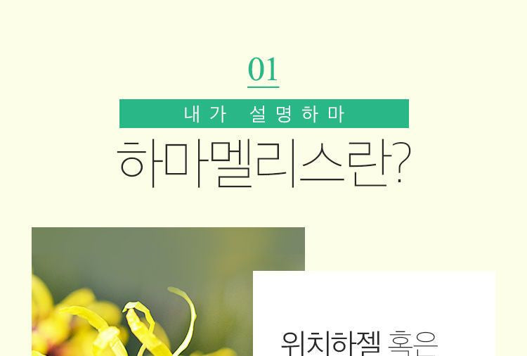 A’PIEU - Hamamelis Cream 50ml, 50ml, 75 g, 8809530056745