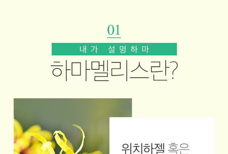 A’PIEU - Hamamelis Cream 50ml, 50ml, 75 g, 8809530056745