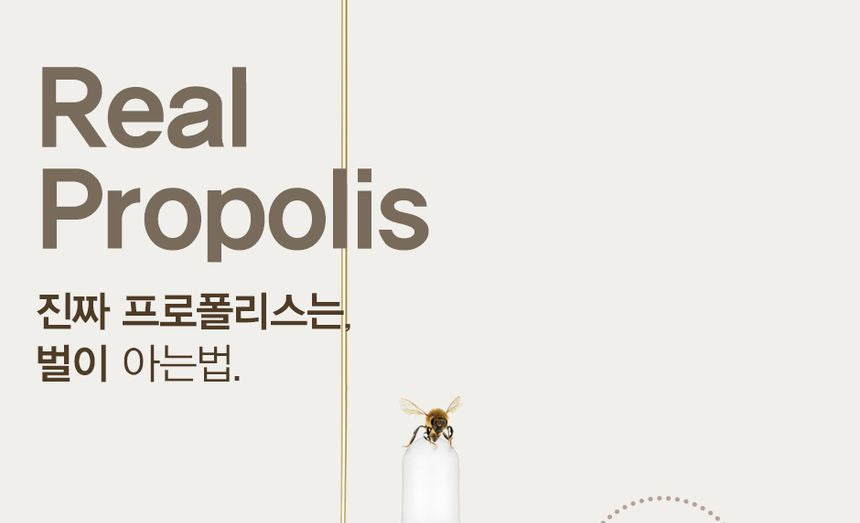 9wishes - Propolis 81% Ampule, 30ml, 137 g, 8809429953346