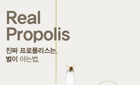 9wishes - Propolis 81% Ampule, 30ml, 137 g, 8809429953346