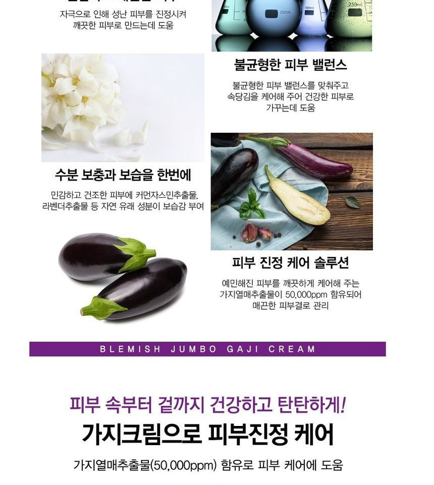TOSOWOONG - Eggplant Blemish Jumbo Gaji Cream 500g, 500g, 589 g, 8809179105101