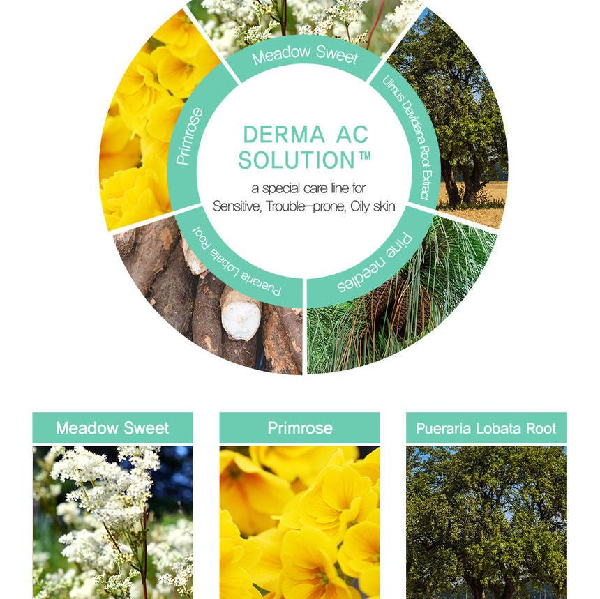 The Saem - Derma Plan Green Calming Cream, 70ml, 100 g, 8806164162804
