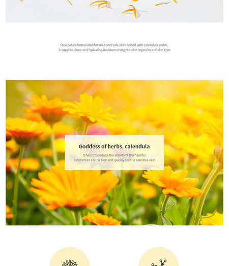 Nacific - Real Floral Air Cream Calendula 100ml, 100ml, 230 g, 8809517460893