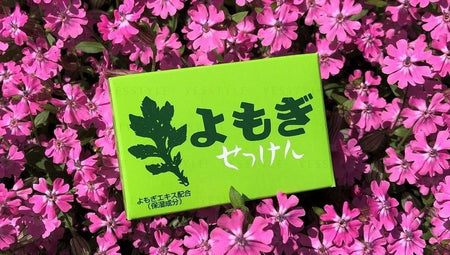 CHINOSHIO - Mugwort Soap, 98g, 130 g, 4982757912019