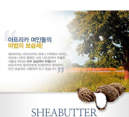 MediFlower - Shea Butter 20% Body Lotion, 250ml, 310 g, 8809339901529