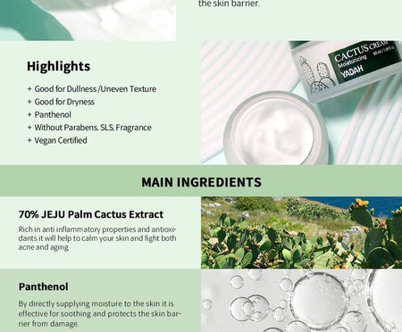 YADAH - Cactus Cream, 50ml, 209 g, 8809340385080