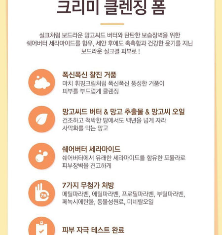 THE FACE SHOP - Mango Seed Creamy Foaming Cleanser Large, 300ml, 363 g, 8806182584398