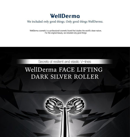 WellDerma - Face Lifting Dark Silver Roller, 1 pc, 274 g, 8809502181086