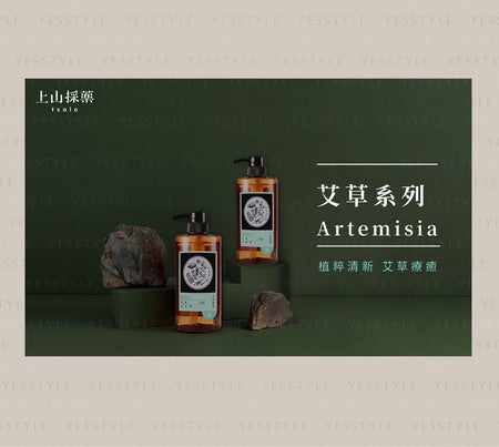 SOFNON - Tsaio Artemisia Body Wash, 600ml, 700 g, 4712815153623