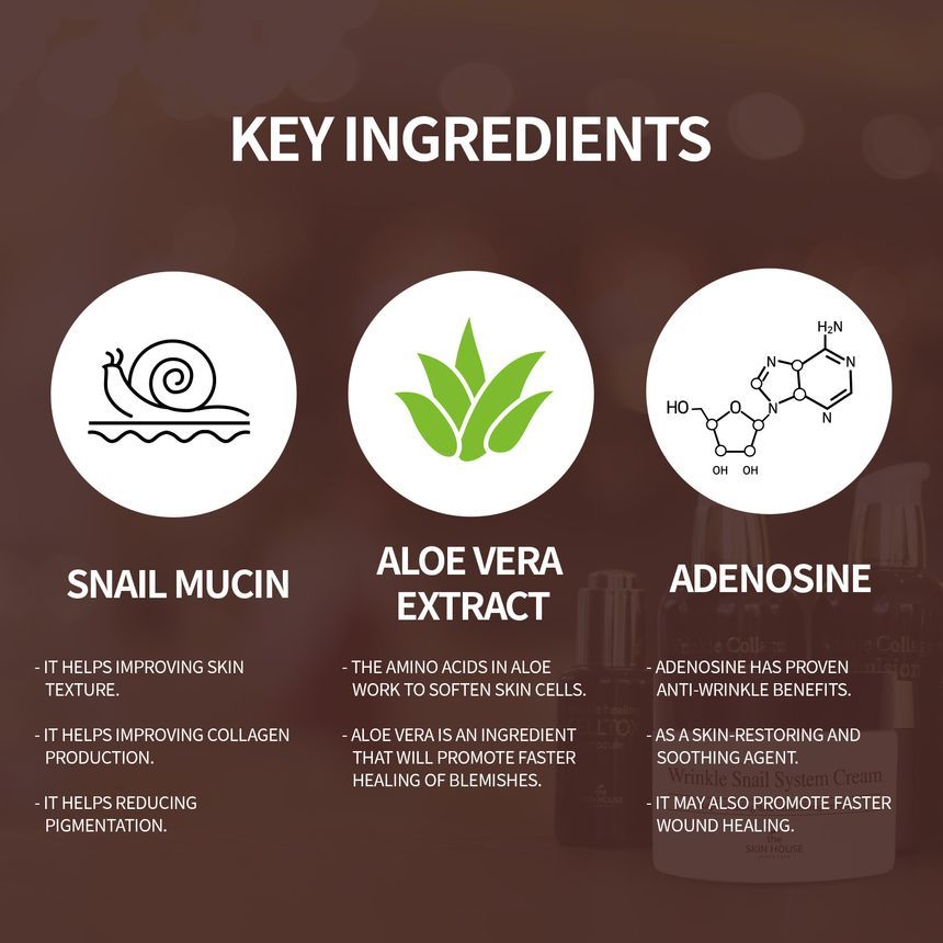 the SKIN HOUSE - Wrinkle Snail System Cream, 50ml, 111 g, 8809080822494