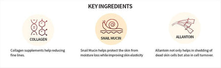 the SKIN HOUSE - Wrinkle System Cream, 50g, 189 g, 8809080821190