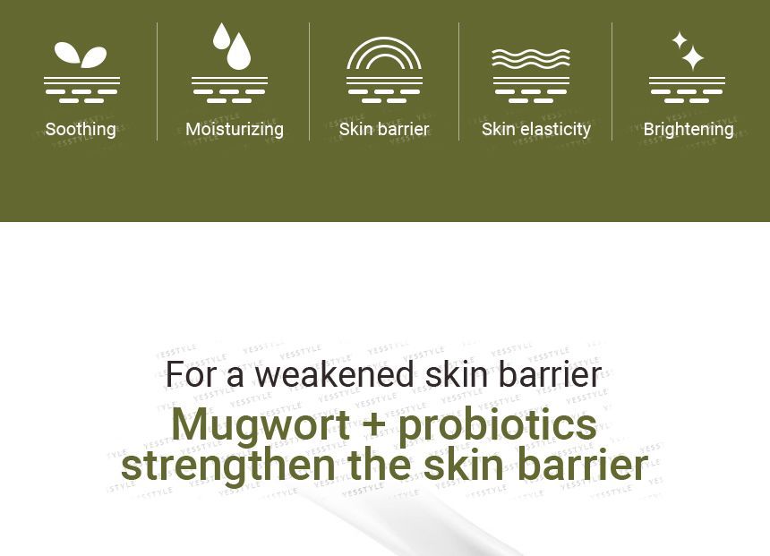 MediFlower - Mugwort Ampoule, 50ml, 169 g, 8809405886262