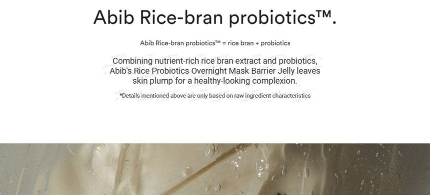 Abib - Rice Probiotics Overnight Mask Barrier Jelly, 80ml, 172 g, 8809750460940