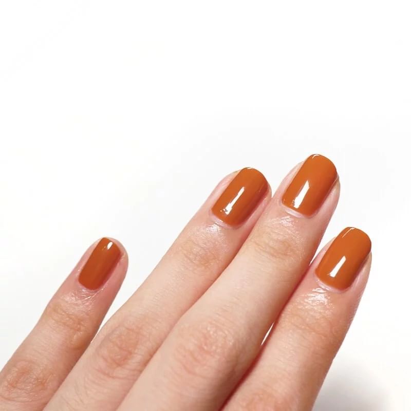 AQUA LALA - Late Autumn Nail Polish, 15ml, 61 g, 4892021001334