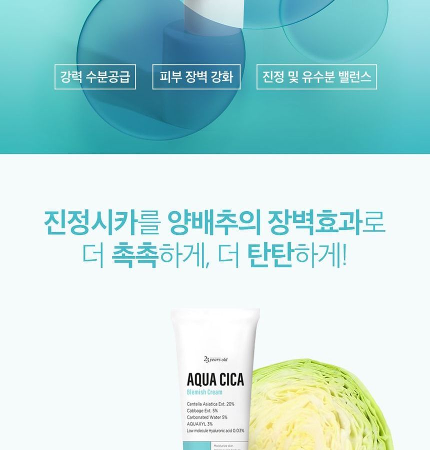 23 years old - Aqua Cica Blemish Cream, 80g, 106 g, 8809404123887