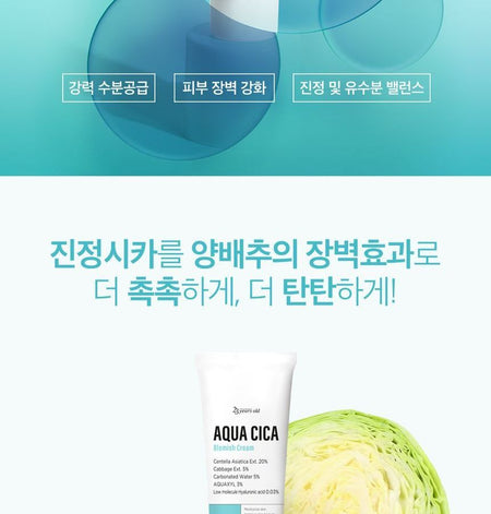 23 years old - Aqua Cica Blemish Cream, 80g, 106 g, 8809404123887
