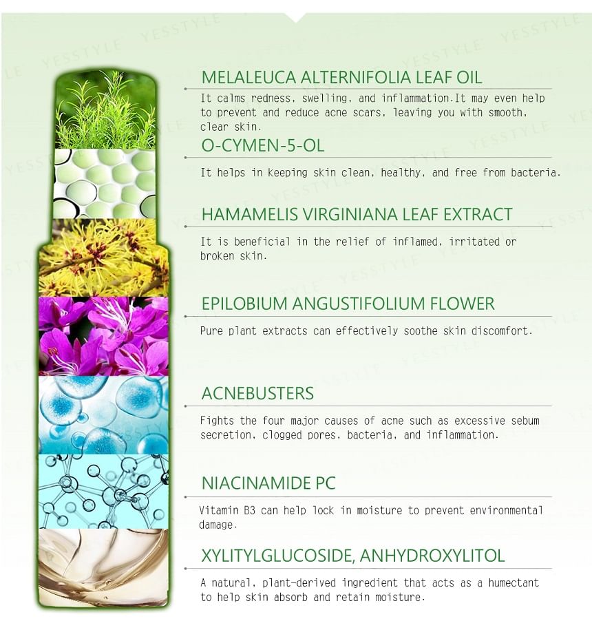 JOURDENESS - Jenduoste Tea Tree Oil-Control Moisturizing Lotion, 100ml, 250 g, 4712589345507
