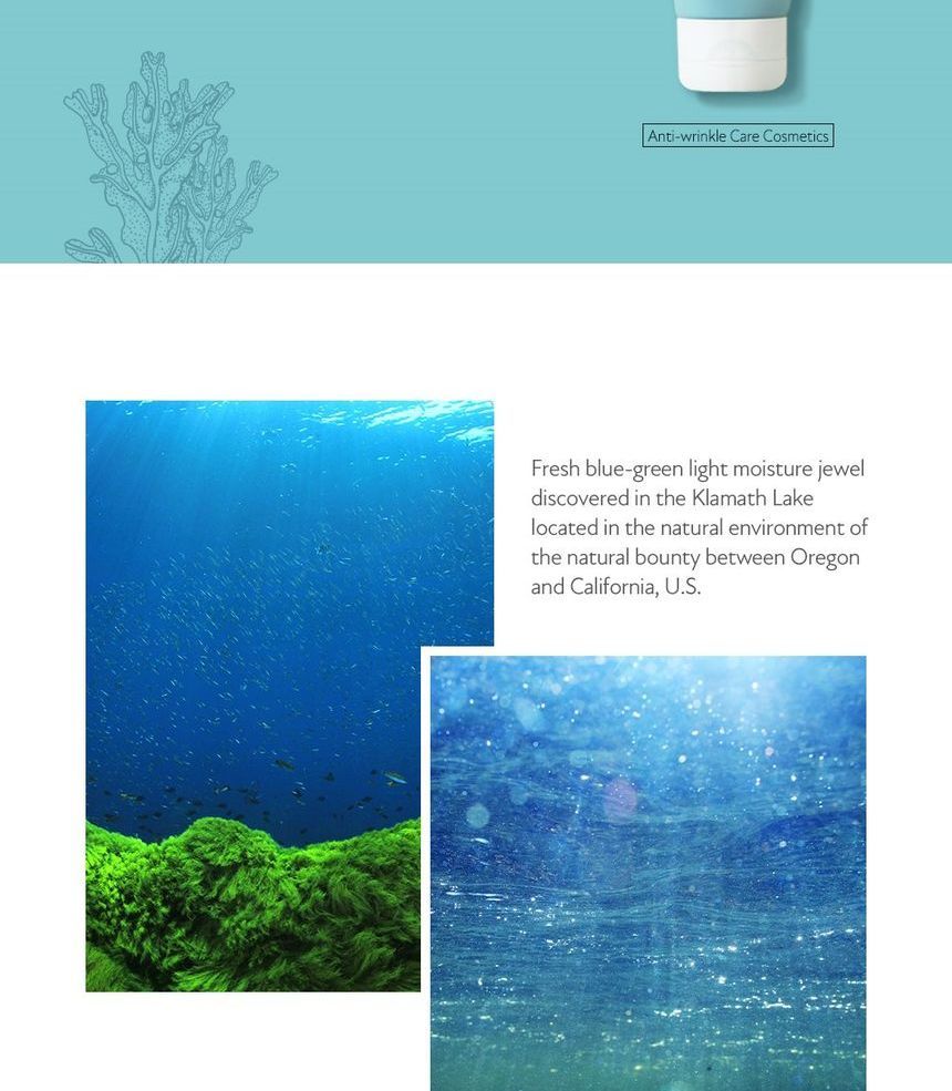 too cool for school - Blue-Green Algae Intensive Gel Cream, 50ml, 74 g, 8809658626653