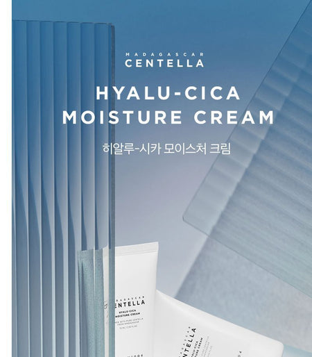 SKIN 1004 - Madagascar Centella Hyalu-Cica Moisture Cream, 75ml, 113 g, 8809576261493