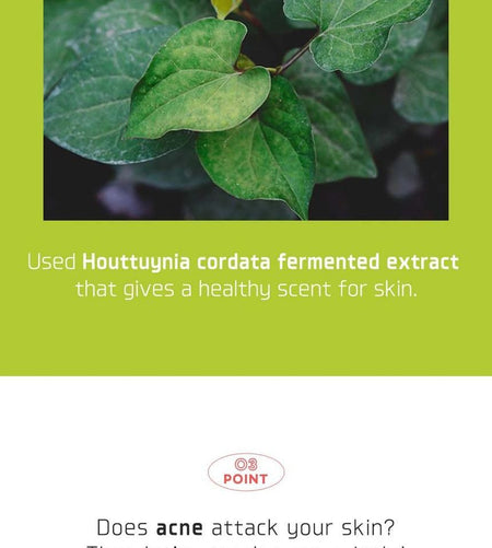 ALIVE:LAB - Houttuynia Cordata Hush Serum, 150ml, 402 g, 8809083974602