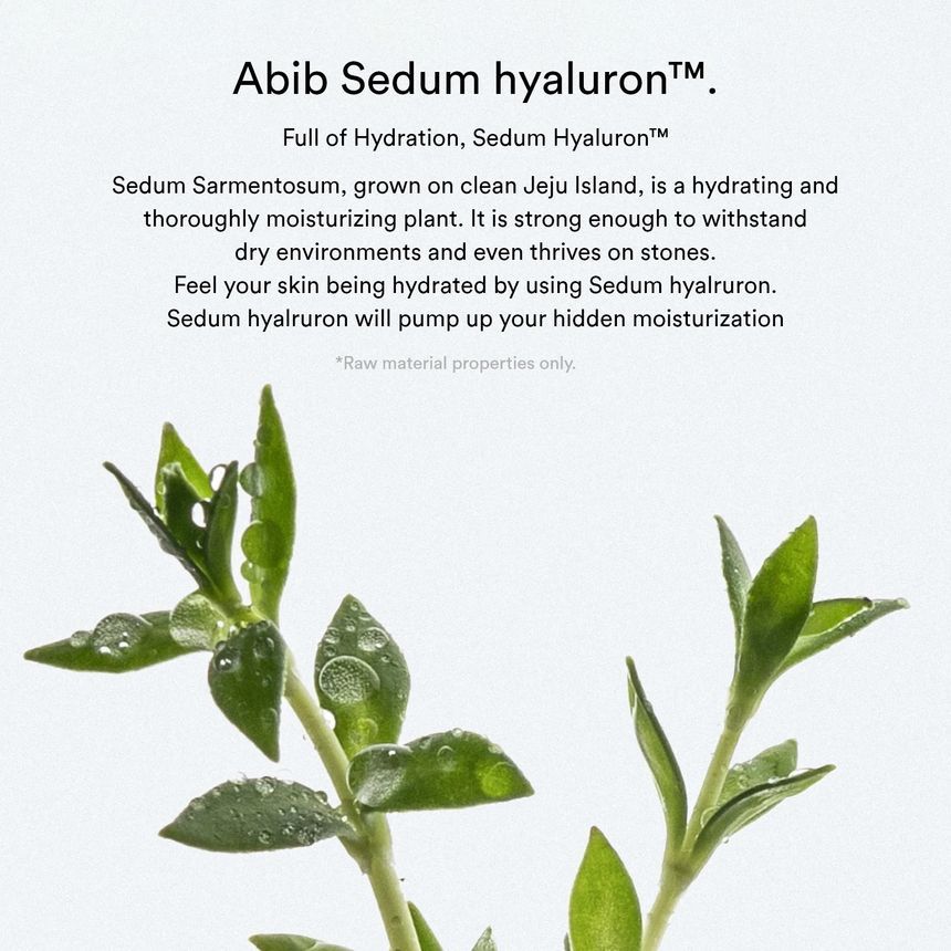 Abib - Sedum Hyaluron Cr?me Hydrating Pot, 80ml, 164 g, 8809864750333