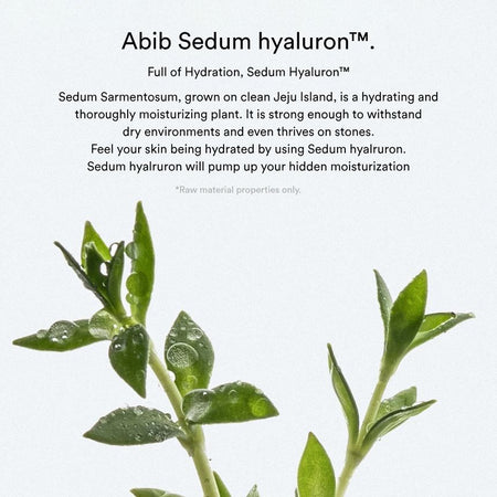 Abib - Sedum Hyaluron Cr?me Hydrating Pot, 80ml, 164 g, 8809864750333