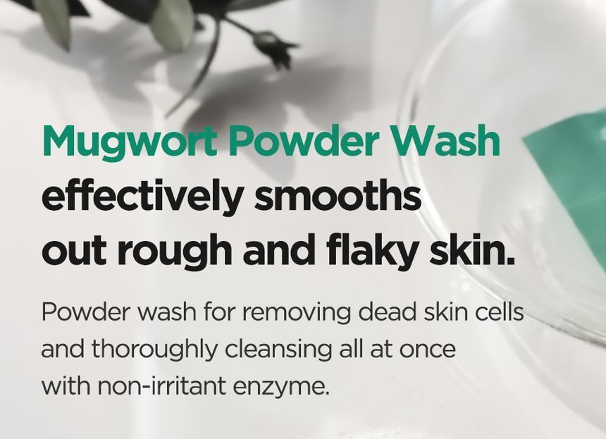 Isntree - Mugwort Calming Powder Wash, New Version - 15g, 68 g, 8809800940217