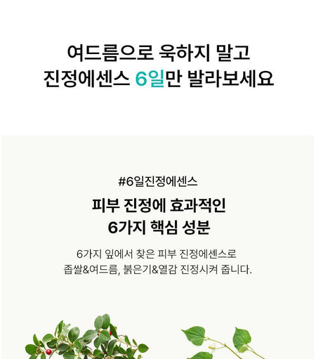 BLITHE - Vital Treatment 6 Calming Leaves, 150ml, 269 g, 8809501660650