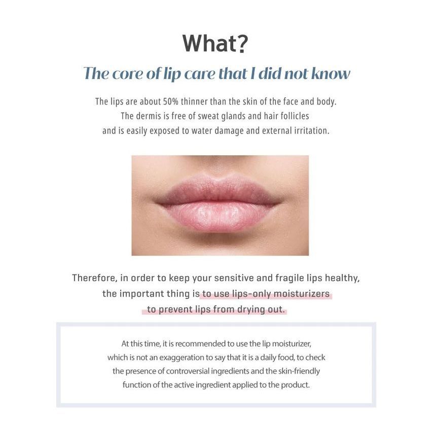 mongdies - Lip Treatment, 15g, 25 g, 8809603904409
