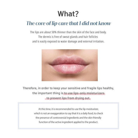 mongdies - Lip Treatment, 15g, 25 g, 8809603904409