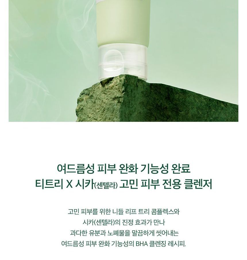 SKIN 1004 - Madagascar Centella Tea-trica BHA Foam, 125ml, 172 g, 8809576261714
