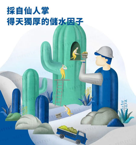 BRIDGE 24/7 - Time Shield Cactus Extract Hydra Soothing Facial Mask Small Size, 12 pcs, 300 g, 4712757599930