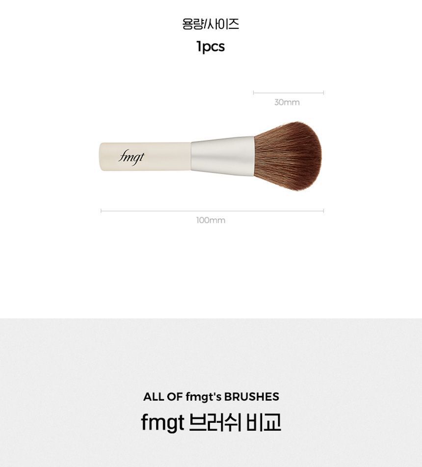 THE FACE SHOP - fmgt Mini Cheek Brush, 11g, 14 g, 8801051497380