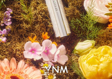 YNM - Natural Melting Honey Lip Balm, 3g, 50 g, 8809626540363
