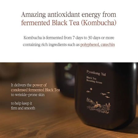 Pyunkang Yul - Black Tea Boosting Serum, 45ml, 295 g, 8809486682272