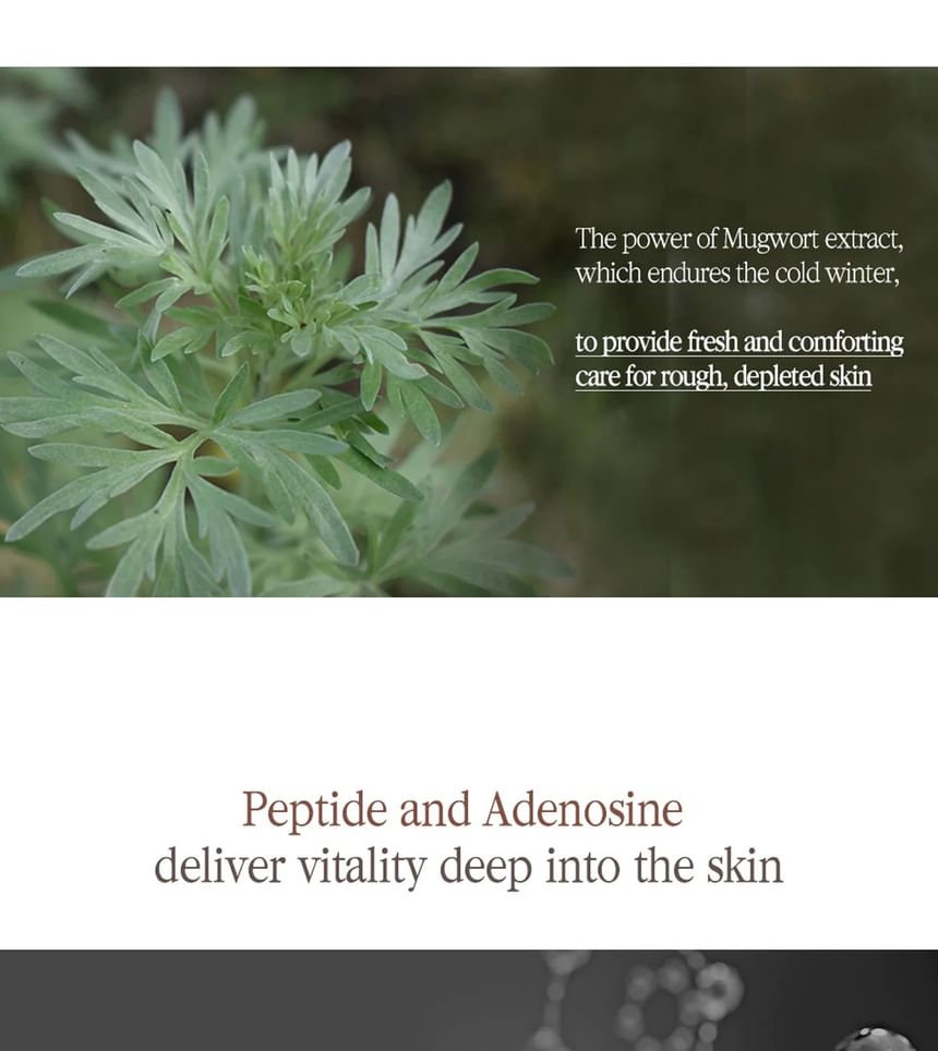 Pyunkang Yul - Black Tea Line Gift Set, 3 pcs, 1174 g, 8809486682319