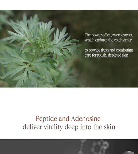 Pyunkang Yul - Black Tea Line Gift Set, 3 pcs, 1174 g, 8809486682319