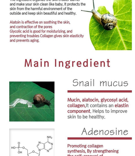 eyeNlip - Pure Snail Repair Gel Cream, 45ml, 120 g, 8809555252283