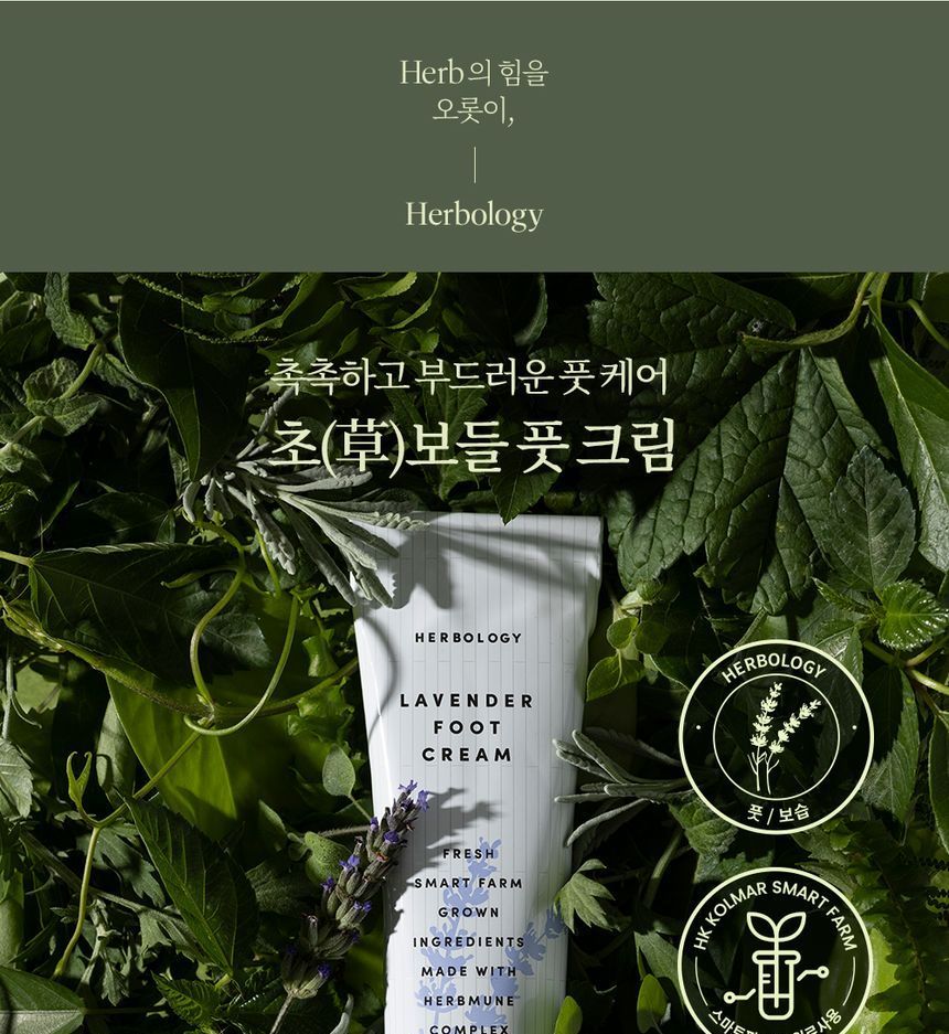 NATURE REPUBLIC - Herbology Lavender Foot Cream, 70ml, 180 g, 8806173483136