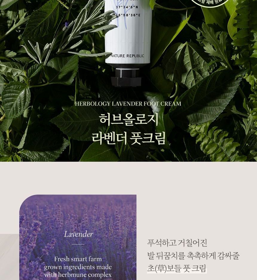 NATURE REPUBLIC - Herbology Lavender Foot Cream, 70ml, 180 g, 8806173483136