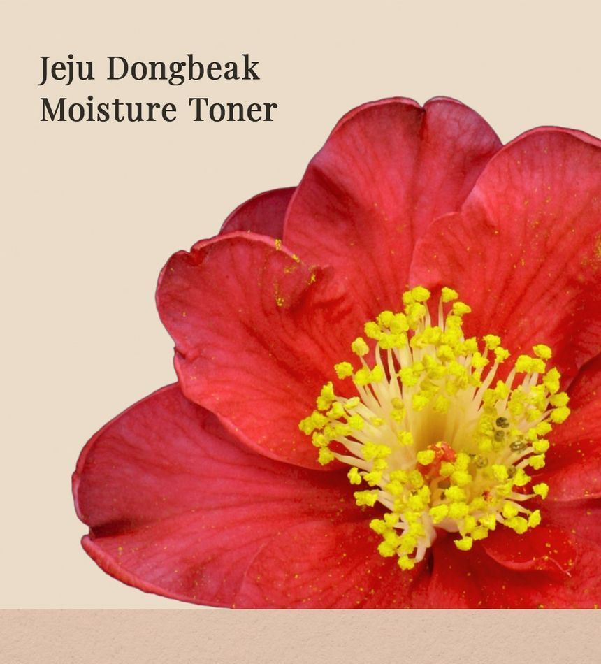 Neulii - Jeju Dongbeak Moisture Toner, 250ml, 303 g, 8809591352398