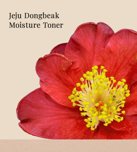 Neulii - Jeju Dongbeak Moisture Toner, 250ml, 303 g, 8809591352398