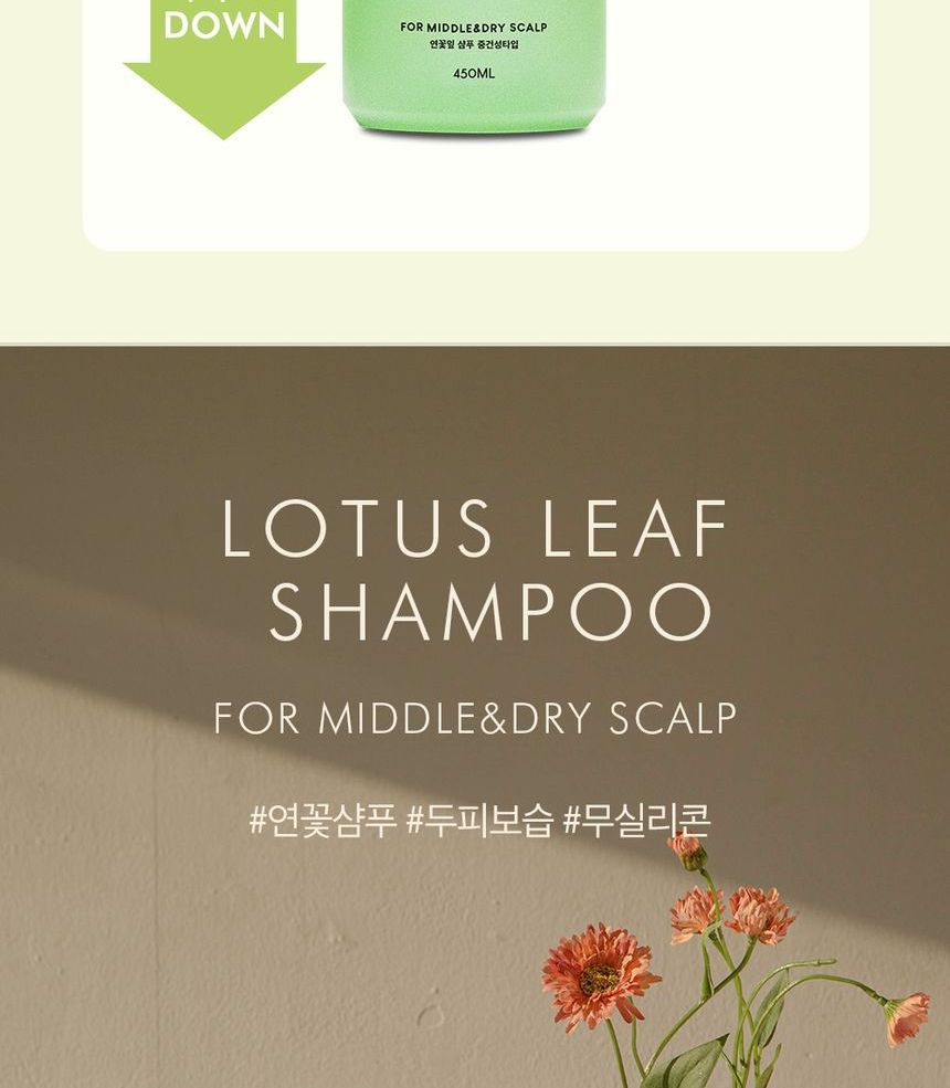 THE PURE LOTUS - Lotus Leaf Shampoo For Middle And Dry Scalp Jumbo, Renewed - 450ml, 499 g, 8809213857119