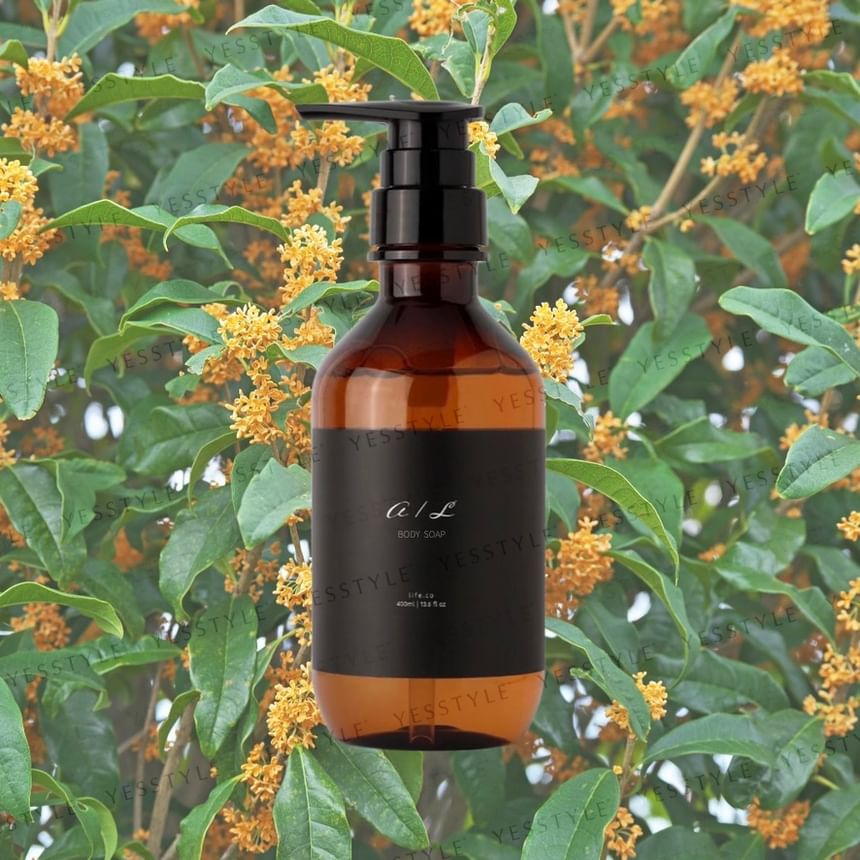 ainaLyra - Body & Hand Wash, 400ml, 450 g, 4588967210814