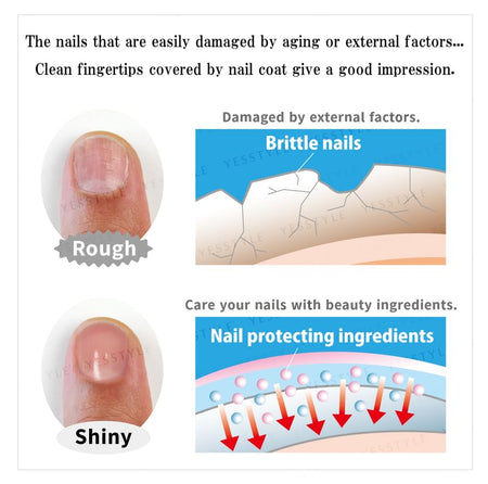 BRO. FOR MEN - Nail Coat Matte Clear Type, 4ml, 34 g, 4562226255443