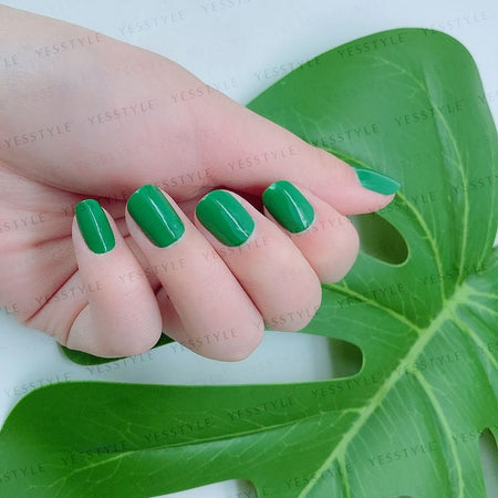 ALLOYA - Water-Based Natural Nail Polish Environmental Friendly 128 Fashion Wild Green, 10ml, 60 g, 6934849101281
