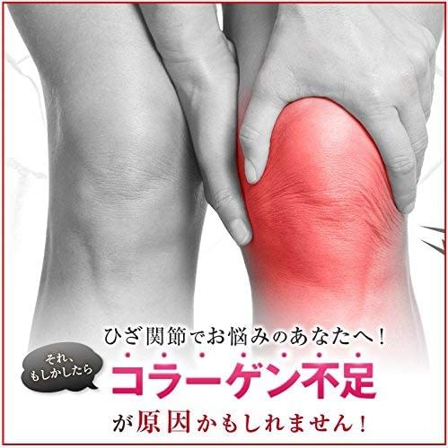 FINE JAPAN - Function Claims Undenatured Type II Collagen UC-II, 250 Tablets, 228 g, 4976652006751